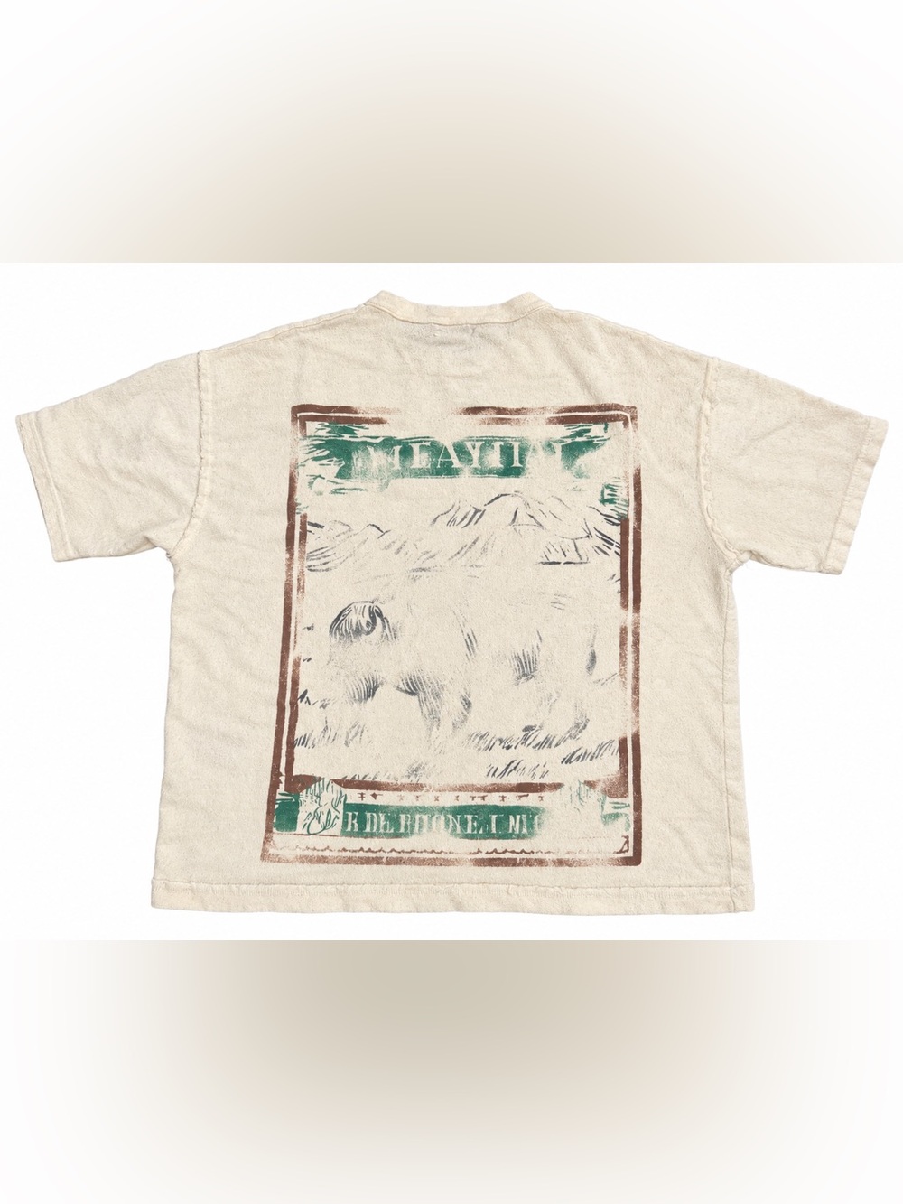 Zara Men’s Cream Short Sleeve Tee with Brown & Green Graphic